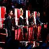 Live Top 13 Performances episode synopsis,reviews,forums,photos,The Road to Live Shows episode synopsis,Live Top 10 Performance Show episode synopsis,The Best Of the Blind Auditions episode synopsis,Blind Auditions Premiere, Night 3 episode synopsis,Live Finale, Part 2 episode synopsis