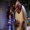 The One With the Holiday Armadillo episode synopsis,reviews,forums,photos,The One That Could Have Been: Part 1 episode synopsis,The One With the Lesbian Wedding episode synopsis,The One With the Fake Party episode synopsis,The One With the Jellyfish episode synopsis,The One With the Mugging episode synopsis