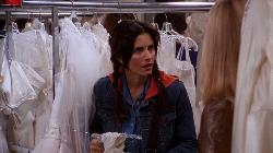 The One With the Cheap Wedding Dress episode synopsis,reviews,forums,photos,The One Where Phoebe Runs episode synopsis,The One With the Late Thanksgiving episode synopsis,The One With Ross's Wedding: Part II episode synopsis,The One Where Dr. Ramoray Dies episode synopsis,The One With the Proposal (2) episode synopsis