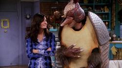 The One With the Holiday Armadillo episode synopsis,reviews,forums,photos,The One That Could Have Been: Part 1 episode synopsis,The One With the Lesbian Wedding episode synopsis,The One With the Fake Party episode synopsis,The One With the Jellyfish episode synopsis,The One With the Mugging episode synopsis