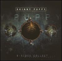 Skinny Puppy lyrics, Skinny Puppy Harsh Stone White (Live) lyrics, Harsh Stone White (Live) lyrics,B album