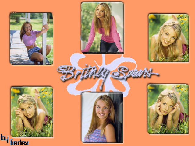 Britney Spears photos,Aron Eli Coleite photos,Luke Arnold photos,Donnie Wahlberg photos,Niecy Nash photos,Carter Bays photos