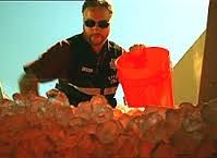 celebrities,artists,bands,lyrics,songs,albums,photos,pictures,images,reviews,discussion,community,members,forum,shows,episode,guides